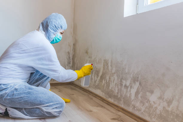 Crawl Space Mold Remediation treatment of floor joists in Petersburg