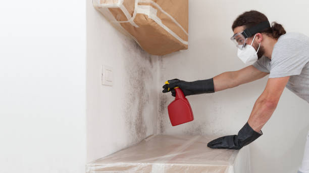 Attic Mold Remediation treatment on roof deck in Petersburg